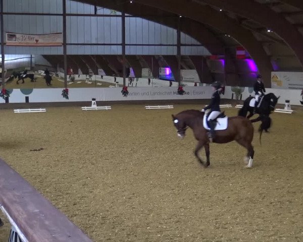 Reitturnier Essen-Stadtwald 2019