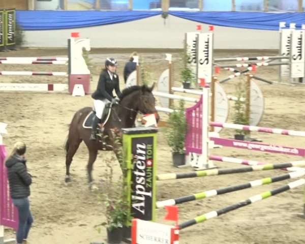 Reitturnier Sulgen 2019