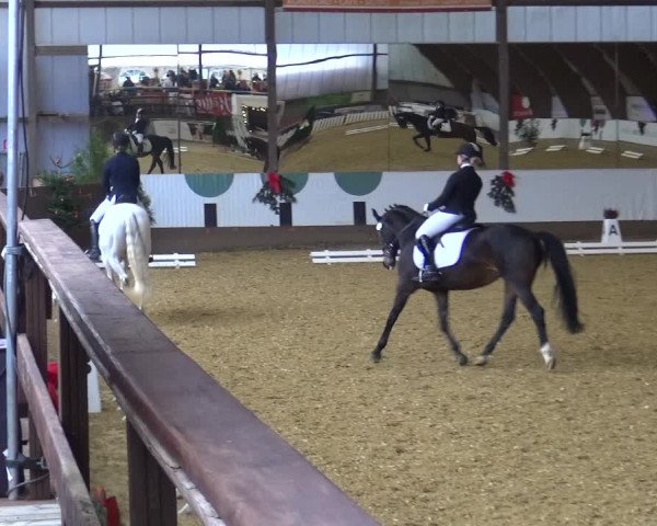 Reitturnier Essen-Stadtwald 2019