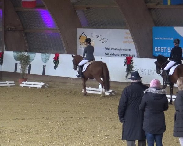 Reitturnier Essen-Stadtwald 2019
