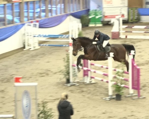 Reitturnier Sulgen 2019
