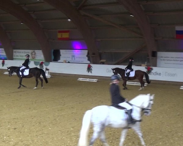 Reitturnier Essen-Stadtwald 2019