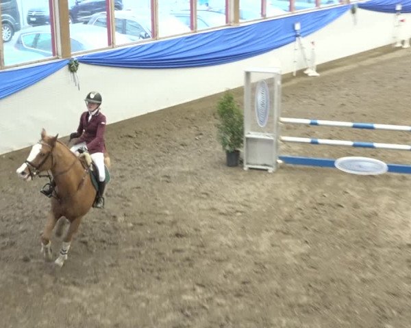 Reitturnier Sulgen 2019