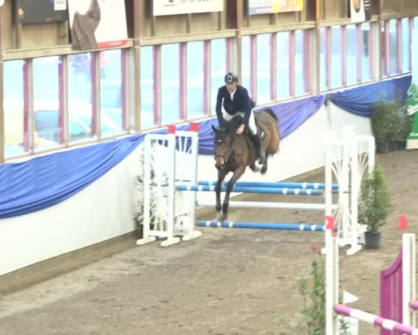 Reitturnier Sulgen 2019