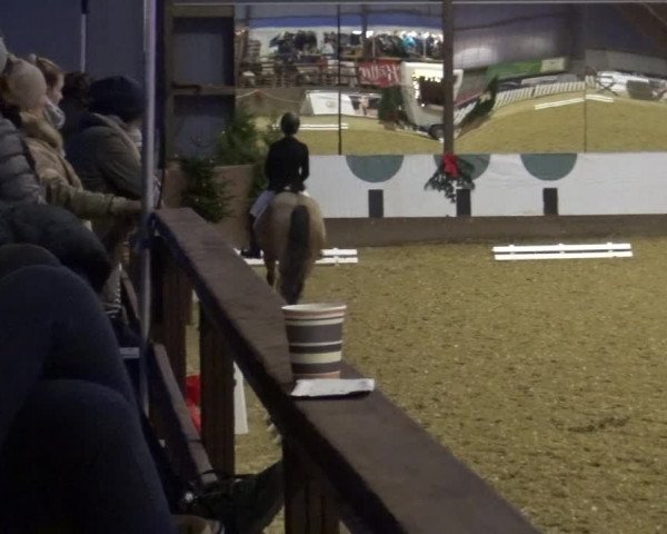 Reitturnier Essen-Stadtwald 2019