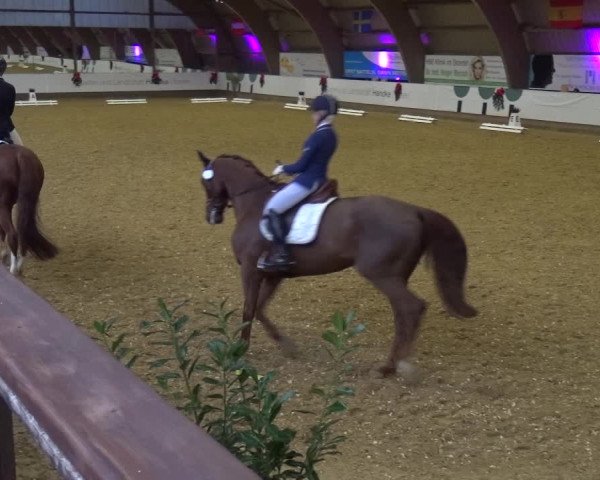 Reitturnier Essen-Stadtwald 2019