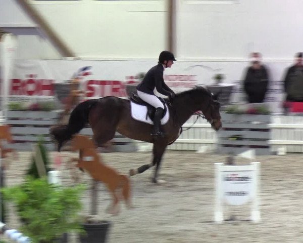 Nordic Jumping Events 2019