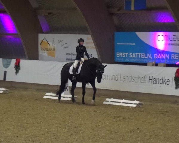 Reitturnier Essen-Stadtwald 2019