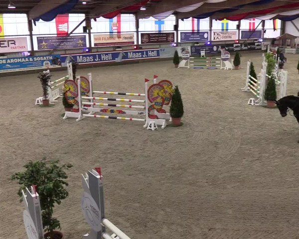 Nordic Jumping Events 2019