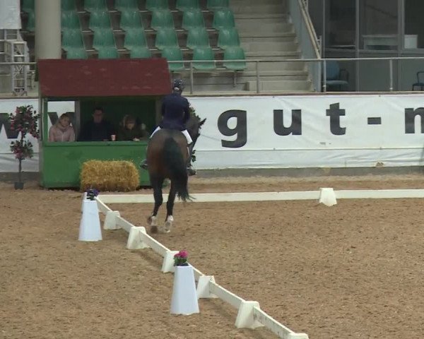 Reitturnier Kreuth/Opf. 2019