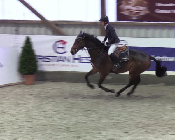 Nordic Jumping Events 2019