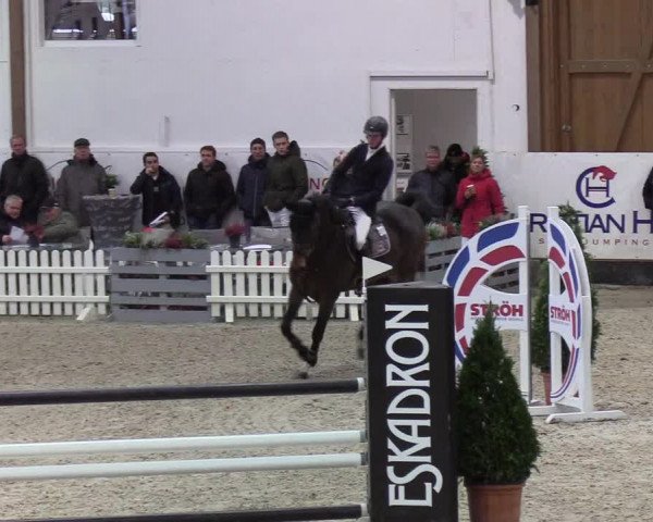Nordic Jumping Events 2019