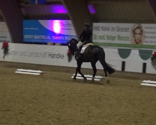 Reitturnier Essen-Stadtwald 2019