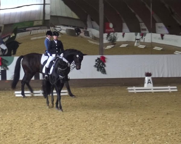 Reitturnier Essen-Stadtwald 2019