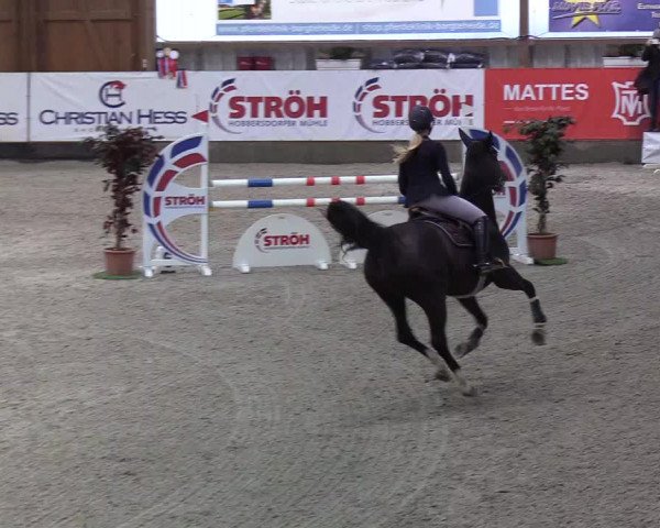 Nordic Jumping Events 2019