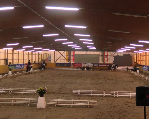 Reitturnier Pausin 2019