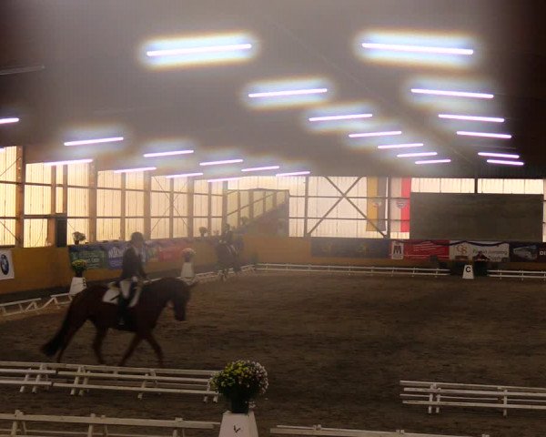 Reitturnier Pausin 2019