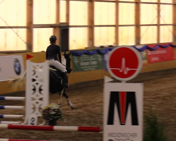 Reitturnier Pausin 2019