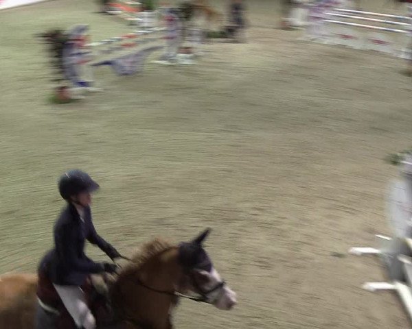 Nordic Jumping Events 2019