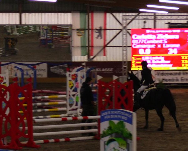 Reitturnier Pausin 2019