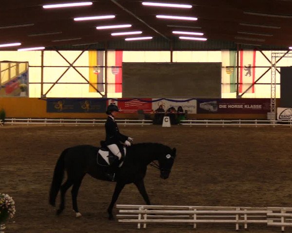 Reitturnier Pausin 2019