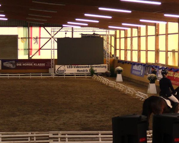 Reitturnier Pausin 2019