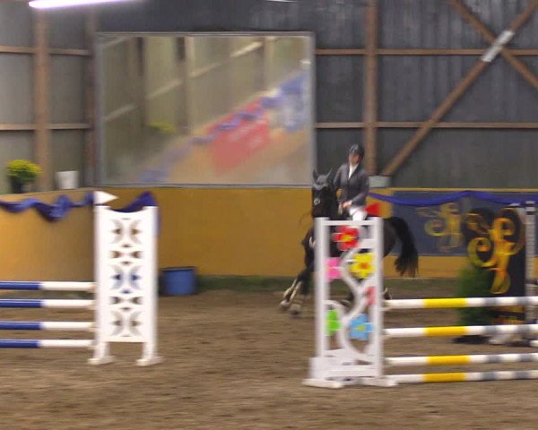 Reitturnier Pausin 2019