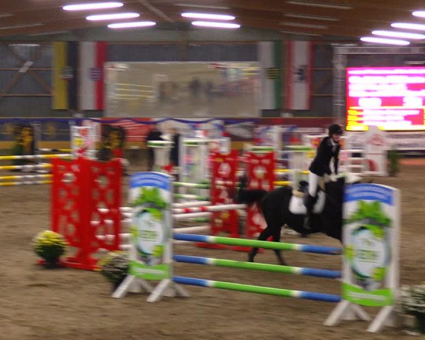 Reitturnier Pausin 2019