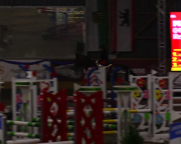 Reitturnier Pausin 2019