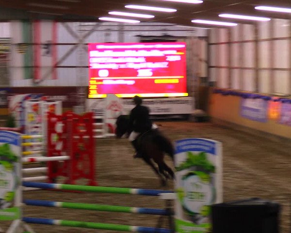 Reitturnier Pausin 2019