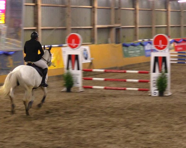Reitturnier Pausin 2019