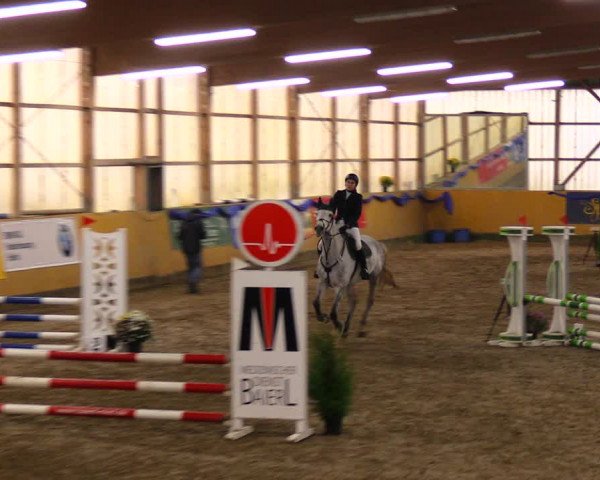 Reitturnier Pausin 2019