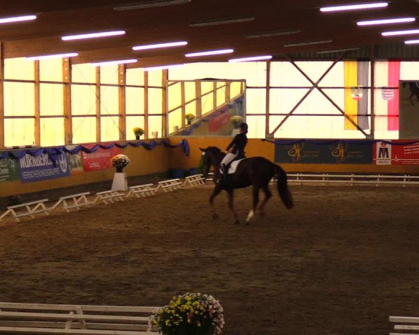 Reitturnier Pausin 2019