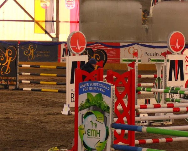 Reitturnier Pausin 2019