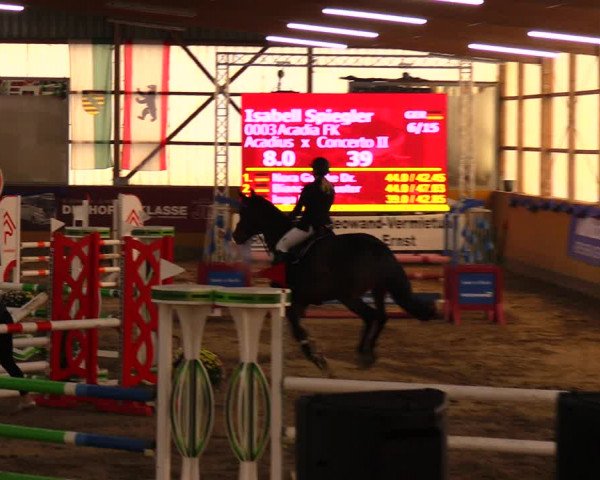 Reitturnier Pausin 2019