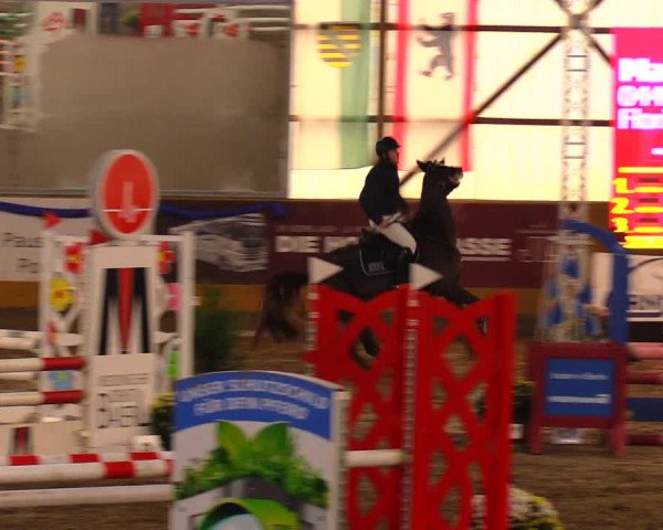 Reitturnier Pausin 2019