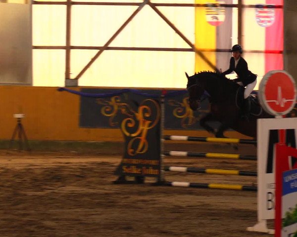 Reitturnier Pausin 2019