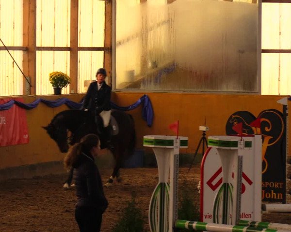 Reitturnier Pausin 2019