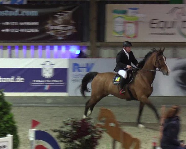 Nordic Jumping Events 2019