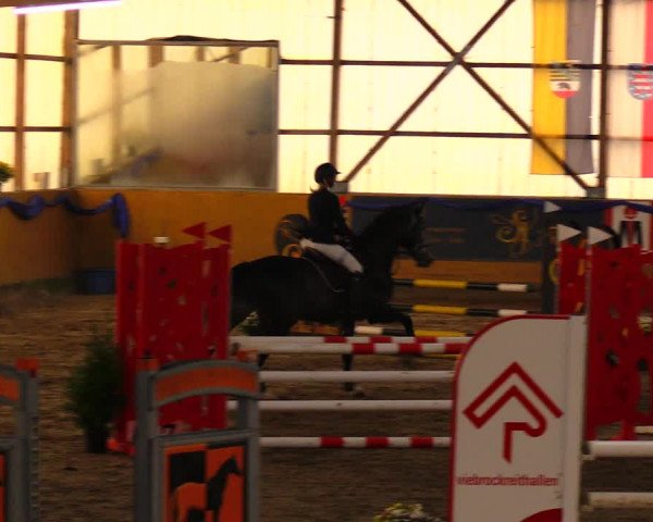 Reitturnier Pausin 2019