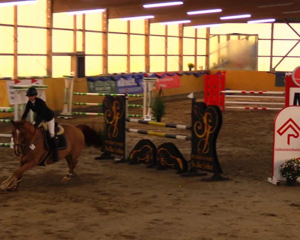 Reitturnier Pausin 2019