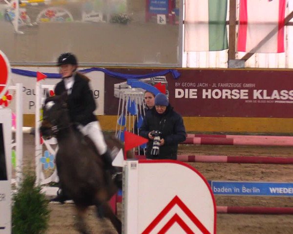 Reitturnier Pausin 2019