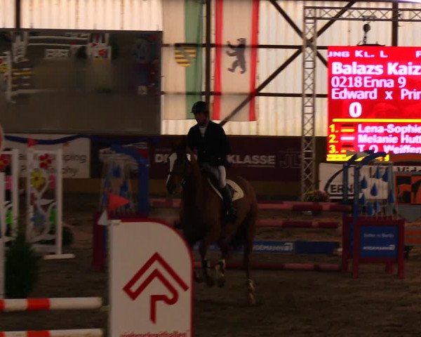 Reitturnier Pausin 2019
