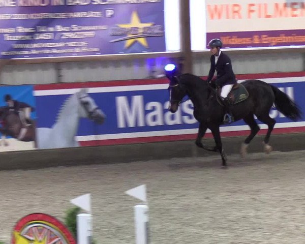 Nordic Jumping Events 2019