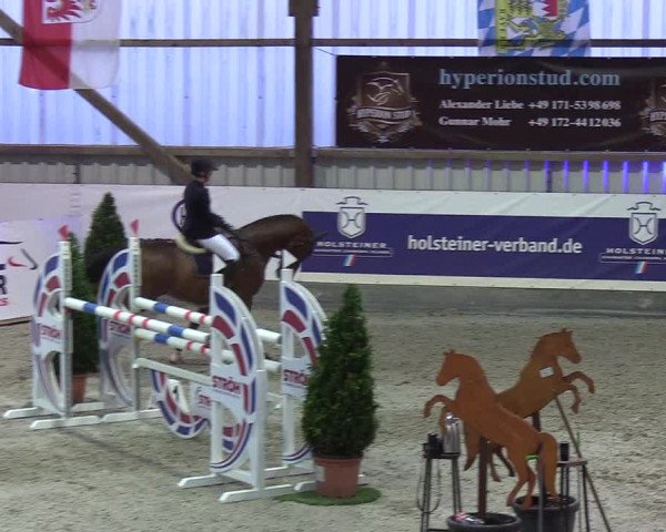 Nordic Jumping Events 2019