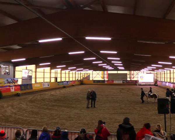 Reitturnier Pausin 2019