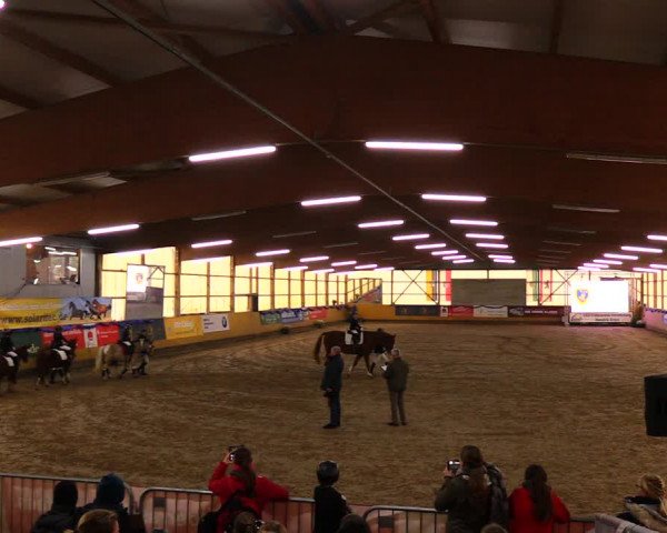 Reitturnier Pausin 2019