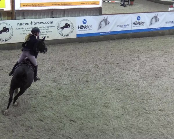 Nordic Jumping Events 2019