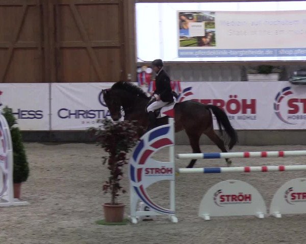 Nordic Jumping Events 2019