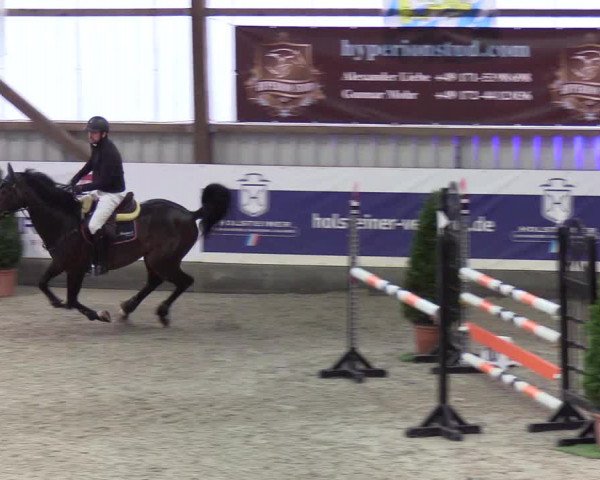 Nordic Jumping Events 2019